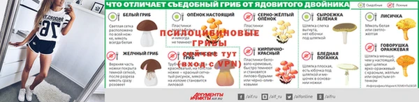 крисы Алексин