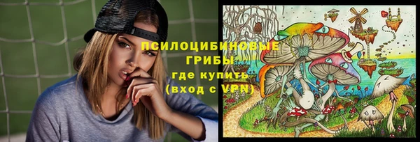 крисы Алексин