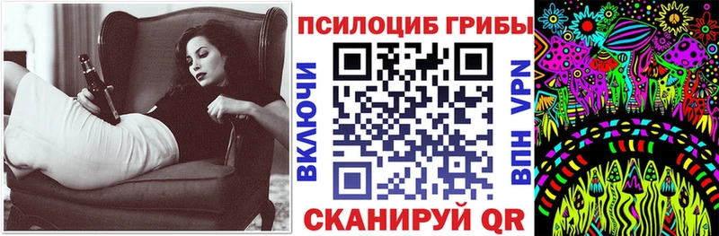 закладка Сыктывкар Псилоцибиновые грибы Psilocybe