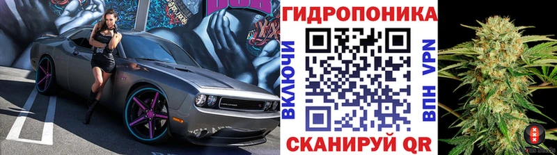 МАРИХУАНА конопля  цена наркотик  Сыктывкар 